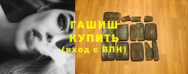 индика Богородицк