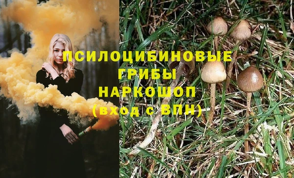 наркотики Богородск