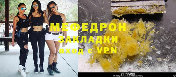 индика Богородицк