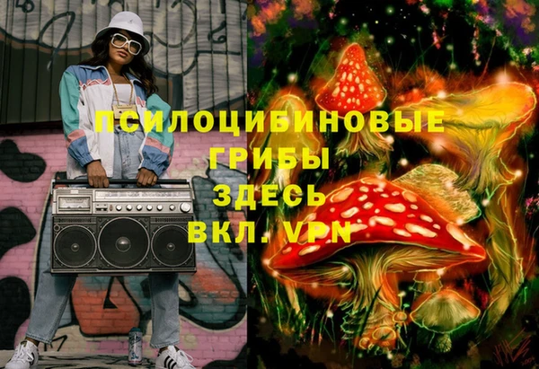 индика Богородицк