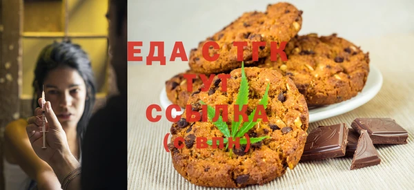 индика Богородицк