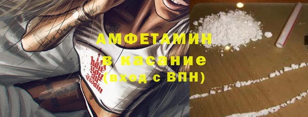 индика Богородицк