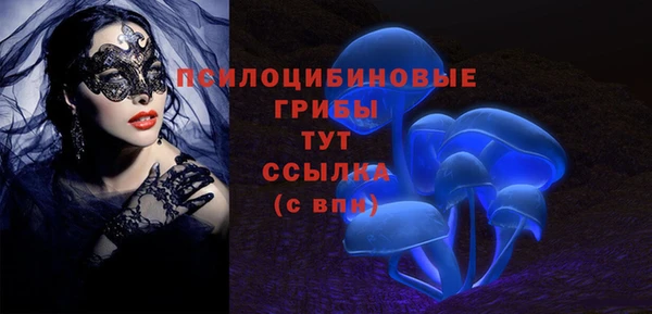 индика Богородицк