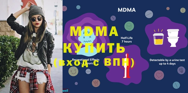 индика Богородицк