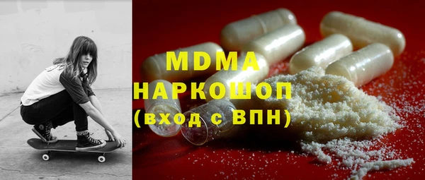 индика Богородицк