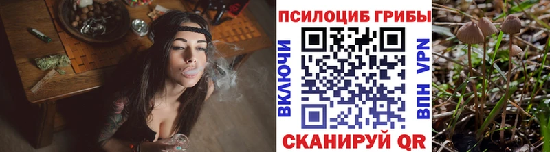 Галлюциногенные грибы GOLDEN TEACHER  мега как войти  Красноярск 